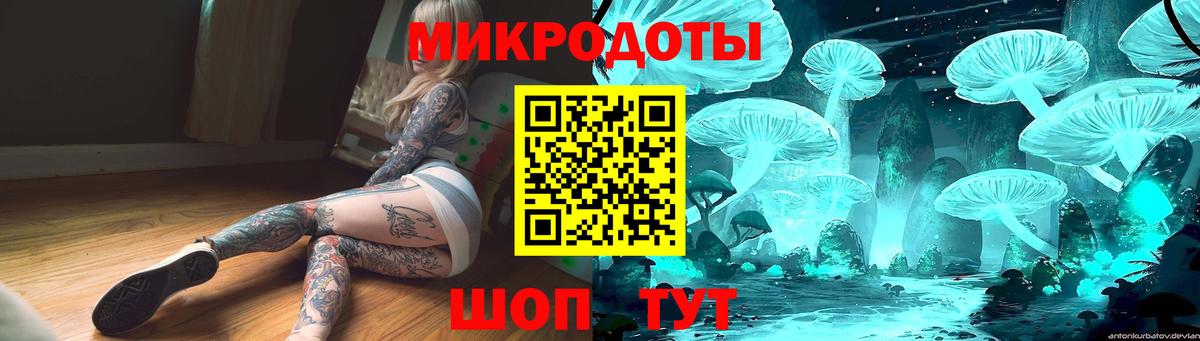 Псилоцибиновые грибы Cubensis  Вход с VPN  Санкт-Петербург 